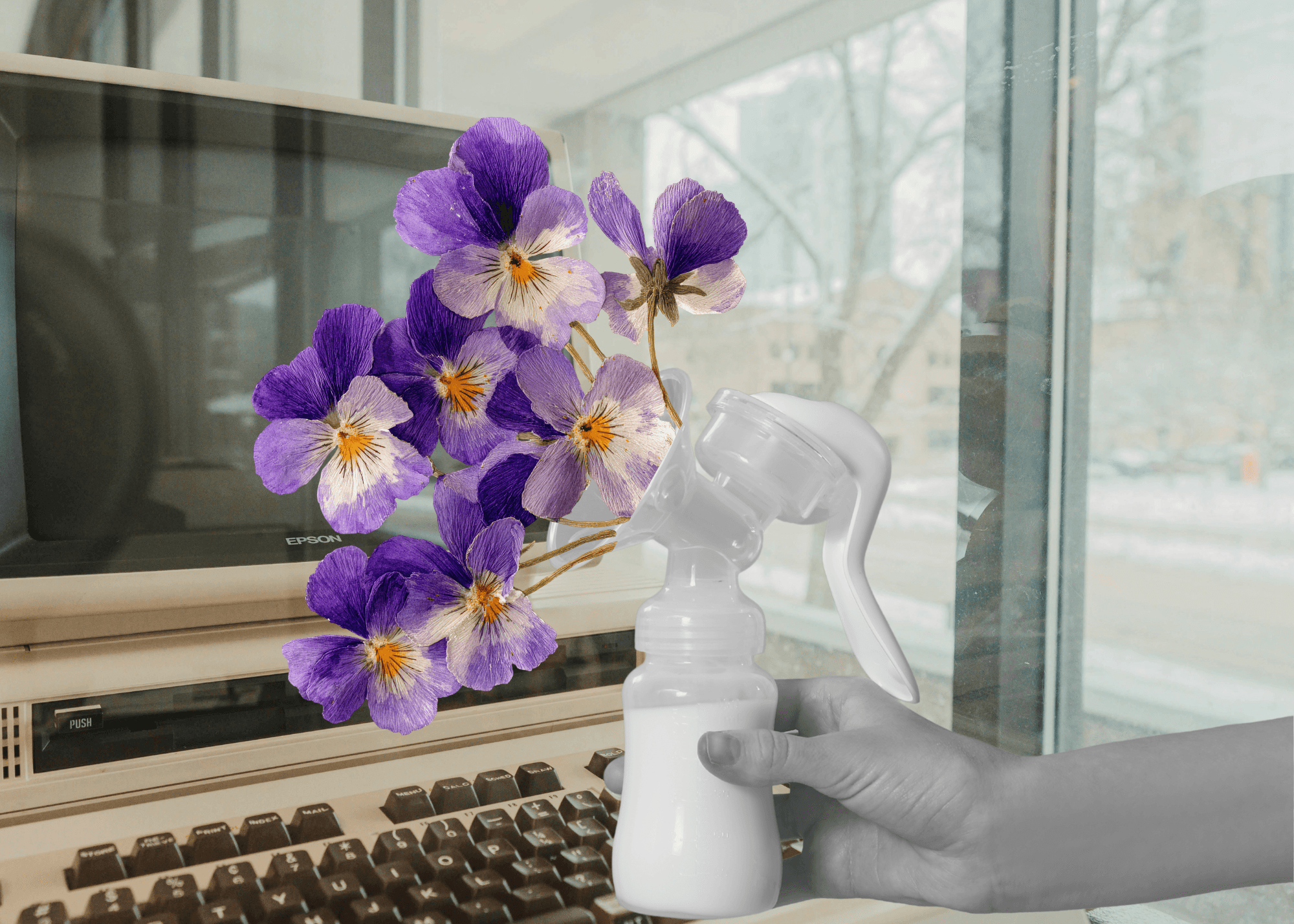 flowers in a b